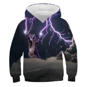 Bluza Dla Dzieci 3D Zwierzaki Kociaki rozmiar 100-160 