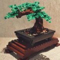 najlepsze-moc-drzewo-bonsai-zielony-krze_main-3.jpg