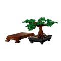 najlepsze-moc-drzewo-bonsai-zielony-krze_main-4.jpg