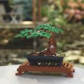 najlepsze-moc-drzewo-bonsai-zielony-krze_main-2.jpg